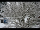 IMG_5543.JPG