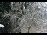 IMG_5545.JPG