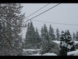 IMG_5548.JPG