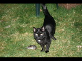 IMG_5670.JPG