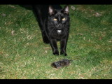 IMG_5671.JPG