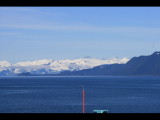 IMG_5673.JPG