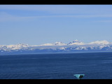 IMG_5674.JPG