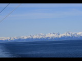 IMG_5675.JPG