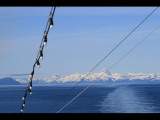 IMG_5676.JPG