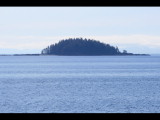 IMG_5683.JPG