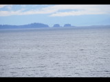 IMG_5686.JPG