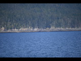 IMG_5690.JPG