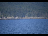 IMG_5691.JPG