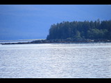 IMG_5697.JPG