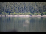 IMG_5720.JPG