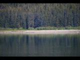 IMG_5722.JPG