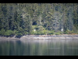 IMG_5723.JPG