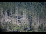 IMG_5726.JPG