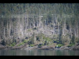 IMG_5727.JPG