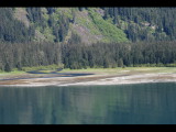 IMG_5733.JPG