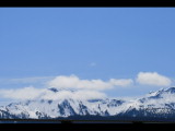 IMG_5735.JPG
