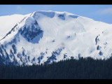 IMG_5743.JPG