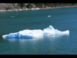 IMG_5759.JPG