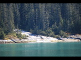 IMG_5775.JPG