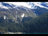 IMG_5777.JPG