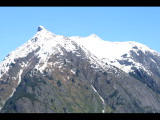 IMG_5781.JPG