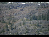 IMG_5785.JPG
