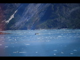 IMG_5794.JPG