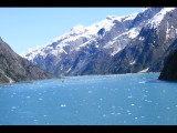 IMG_5795.JPG