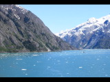 IMG_5799.JPG