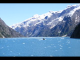 IMG_5801.JPG