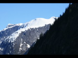 IMG_5803.JPG