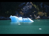 IMG_5804.JPG