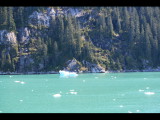 IMG_5805.JPG