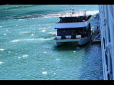 IMG_5809.JPG