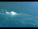 IMG_5811.JPG