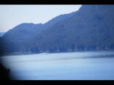 IMG_5814.JPG