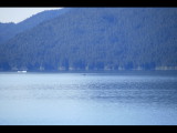 IMG_5815.JPG