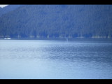 IMG_5817.JPG