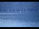 IMG_5818.JPG
