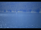 IMG_5820.JPG