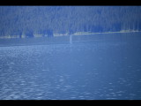 IMG_5821.JPG