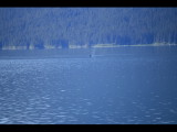 IMG_5822.JPG