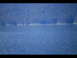 IMG_5824.JPG