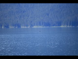 IMG_5826.JPG