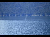 IMG_5828.JPG