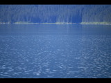 IMG_5829.JPG