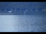 IMG_5830.JPG
