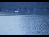 IMG_5831.JPG