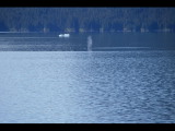 IMG_5832.JPG